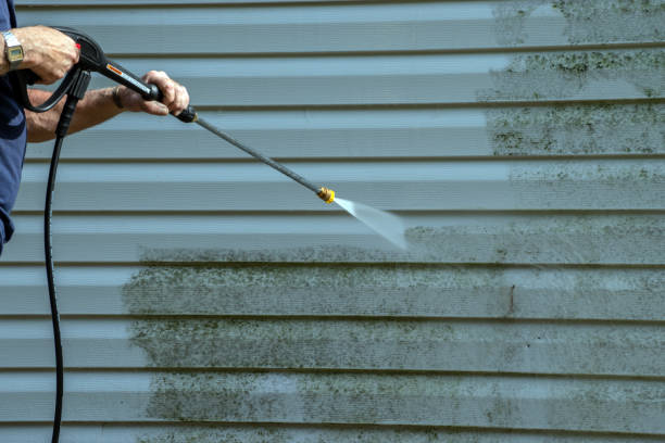 Best Vinyl Siding Pressure Washing in Felton, CA