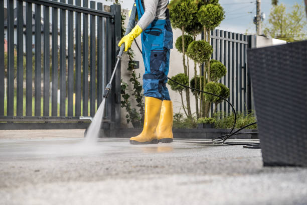 Best Soft Washing for Delicate Surfaces in Felton, CA